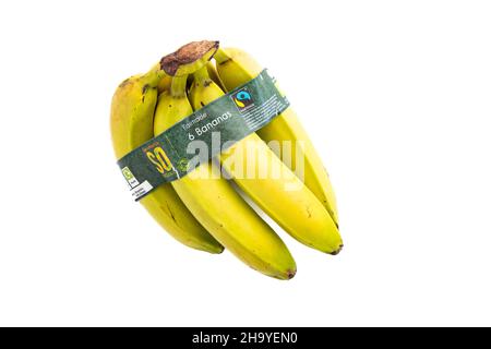 Bananes - bouquet de 6 bananes biologiques issu du commerce équitable avec emballage papier recyclable - Royaume-Uni Banque D'Images