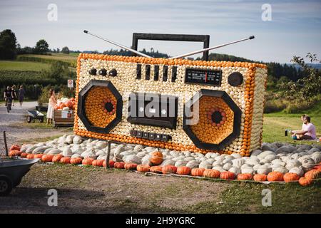 Thèmes musicaux avec citrouilles - Zurich, Suisse Banque D'Images