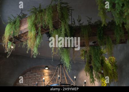 Design éco-café dans des tons bruns.Plantes en pot vertes suspendues au plafond.Photo de haute qualité Banque D'Images