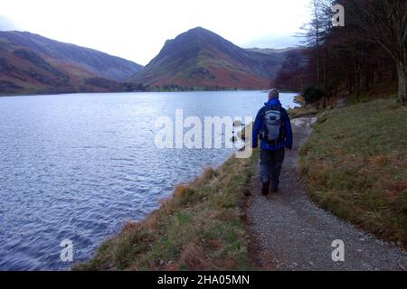 Man Walking on Path by Buttermere Lake to the Wainwright 'Fleetwith Pike' in the Lake District National Park, Cumbria, Angleterre, Royaume-Uni. Banque D'Images