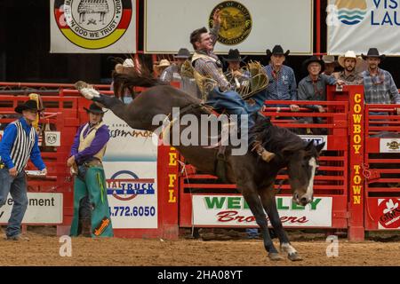 Promenade en bareback vue sur le circuit Southeastern Finals Rodeo pendant l'événement. Banque D'Images