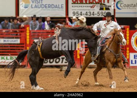 Promenade en bareback vue sur le circuit Southeastern Finals Rodeo pendant l'événement. Banque D'Images