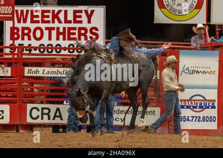 Promenade en bareback vue sur le circuit Southeastern Finals Rodeo pendant l'événement. Banque D'Images