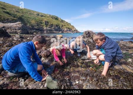 Les enfants explorent l'estran Banque D'Images