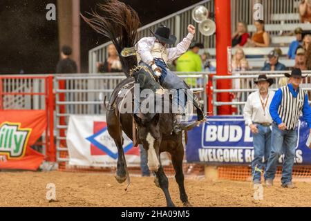 Promenade en bareback vue sur le circuit Southeastern Finals Rodeo pendant l'événement. Banque D'Images