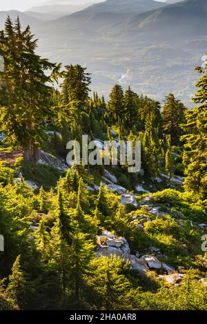 WA19857-00...WASHINGTON - lumière en fin d'après-midi sur les arbres, au-dessus de la vallée de la rivière Stilaguamish dans le parc national du Mont Pilchuck. Banque D'Images