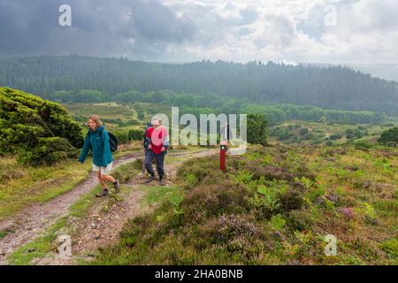 Rebild: Parc national de Rebild, heath, randonneur, à Rebild Bakker, Jylland,Jutland, Danemark Banque D'Images