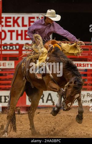 Saddle Bronc Riding vu sur Southeastern circuit finals Rodeo pendant l'événement. Banque D'Images