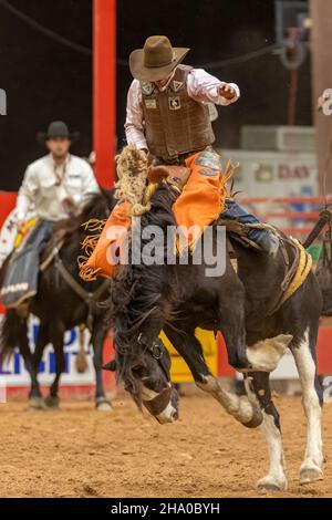 Saddle Bronc Riding vu sur Southeastern circuit finals Rodeo pendant l'événement. Banque D'Images