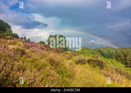 Rebild: Parc national de Rebild, Heath, arc-en-ciel, à Rebild Bakker, Jylland,Jutland, Danemark Banque D'Images