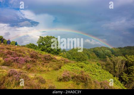 Rebild: Parc national de Rebild, Heath, arc-en-ciel, à Rebild Bakker, Jylland,Jutland, Danemark Banque D'Images