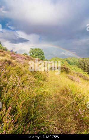 Rebild: Parc national de Rebild, Heath, arc-en-ciel, à Rebild Bakker, Jylland,Jutland, Danemark Banque D'Images