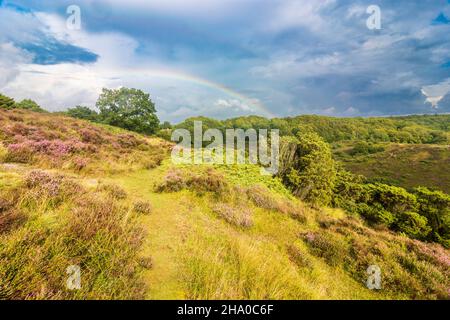 Rebild: Parc national de Rebild, Heath, arc-en-ciel, à Rebild Bakker, Jylland,Jutland, Danemark Banque D'Images