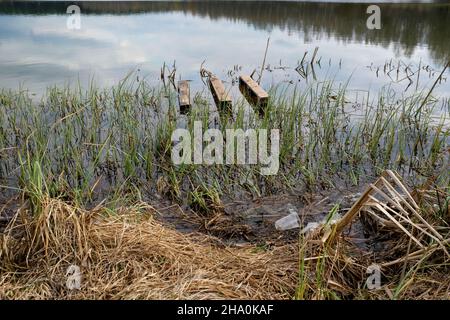 Palette en bois dans l'eau.Le concept de protection de la nature environnante. Banque D'Images