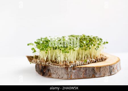 Alimentation saine, produits frais du jardin cultivés de façon biologique.Symbole de la santé et des vitamines de la nature.Concept de régime Microgreens, végétalien et végétarien Banque D'Images