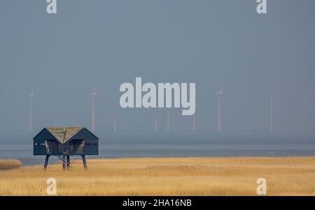 Maison d'observation des oiseaux dans la mer des Wadden entre le nord des pays-Bas et l'Allemagne Banque D'Images