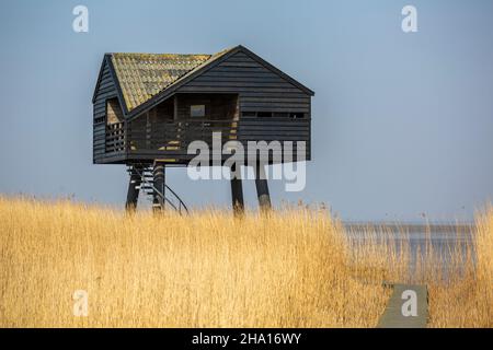 Maison d'observation des oiseaux dans la mer des Wadden entre le nord des pays-Bas et l'Allemagne Banque D'Images