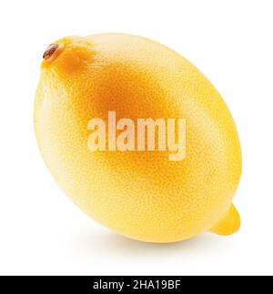 Lemon isolé sur un fond blanc. Banque D'Images