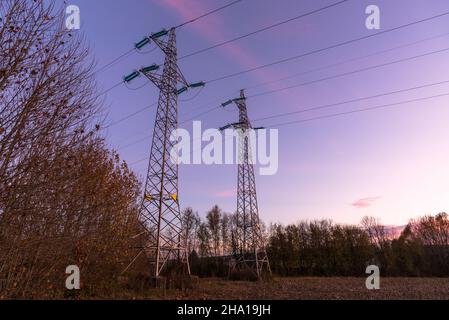 Vue de pylônes d'électricité dans un champ sous un ciel d'hiver clair au crépuscule Banque D'Images