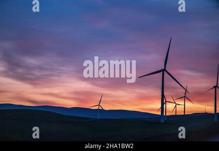 Coucher de soleil sur les moulins à vent du col d'Altamont sur Highhway 580 en Californie du Nord. Banque D'Images