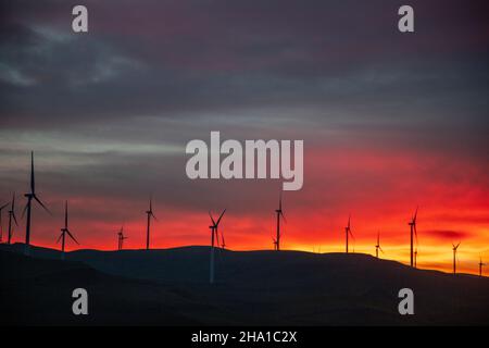 Coucher de soleil sur les moulins à vent du col d'Altamont sur Highhway 580 en Californie du Nord. Banque D'Images