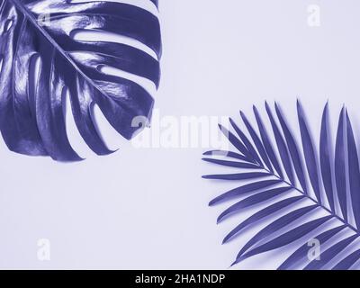 Concept d'été tropical dans la couleur très tendance de Peri de l'année 2022.Monstera et feuilles de palmier dans les coins sur fond violet ou violet de Banque D'Images