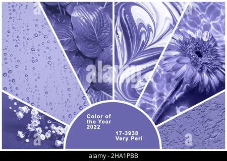 Collage d'arrière-plans et de textures fleuris dans la très tendance couleur Peri de l'année 2022.Ensemble de photos violets ou violets vives de feuilles, peinture Banque D'Images