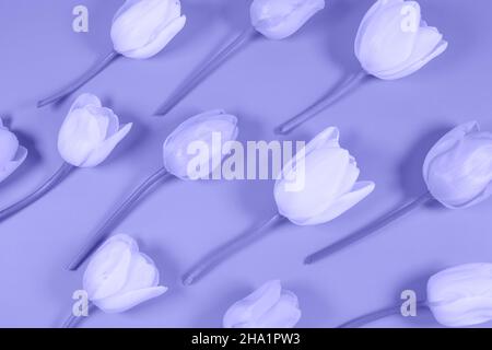 Magnifique motif fleurs tulipes ton sur fond violet.Couleur du concept de l'an 2022. Banque D'Images