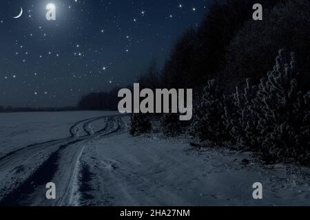 Paysage de nuit d'hiver avec route, arbres neigeux dans la forêt, lune et étoile de noël sur le ciel étoilé Banque D'Images
