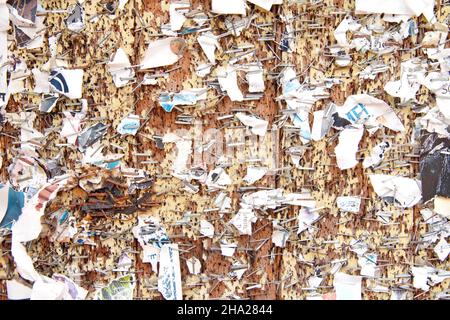 Des centaines d'agrafes anciennes restent dans le pilier en bois où des bannières et des affiches sont exposées pour les élèves.Des restes de papier restent sur la structure en bois r Banque D'Images