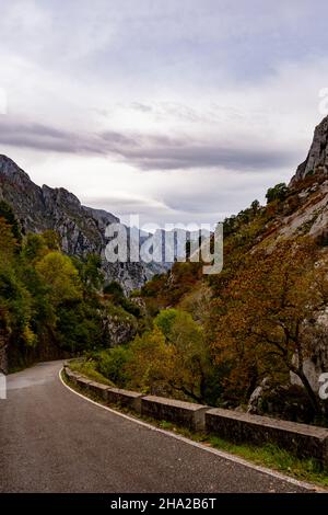 Vallée de la Duje à Tielve dans les Picos de Europa. Banque D'Images