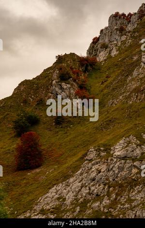 Vallée de la Duje à Tielve dans les Picos de Europa. Banque D'Images