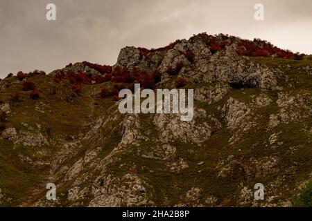 Vallée de la Duje à Tielve dans les Picos de Europa. Banque D'Images