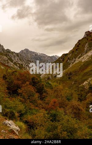 Vallée de la Duje à Tielve dans les Picos de Europa. Banque D'Images