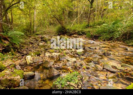 Vallée de la Duje à Tielve dans les Picos de Europa. Banque D'Images