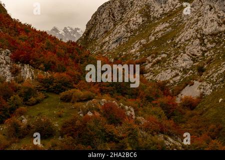 Vallée de la Duje à Tielve dans les Picos de Europa. Banque D'Images