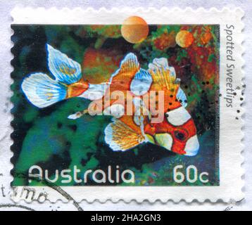 AUSTRALIE - VERS 2010 : timbre imprimé par l'Australie, montre le poisson de mer, les sucreries tachetées, vers 2010 Banque D'Images