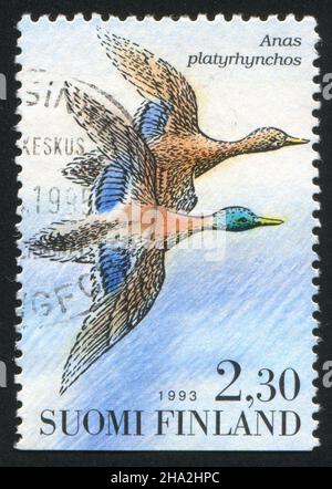 FINLANDE - VERS 1993: Timbre imprimé par la Finlande, montre Mallard, vers 1993 Banque D'Images