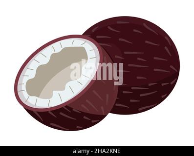 Vecteur de noix de coco isolé sur fond blanc.Icône fruits, frais, santé alimentaire. Illustration de Vecteur