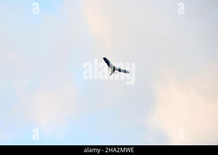 Planeur suspendu motorisé volant dans un ciel bleu, planeur suspendu motorisé, vue aérienne de trike ultra-légère, espace de copie.Vol touristique sur un han propulsé à pied Banque D'Images