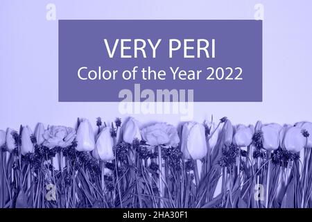 Bannière avec fleurs dans la couleur de la tendance couleur 2022 très Peri avec texte Banque D'Images