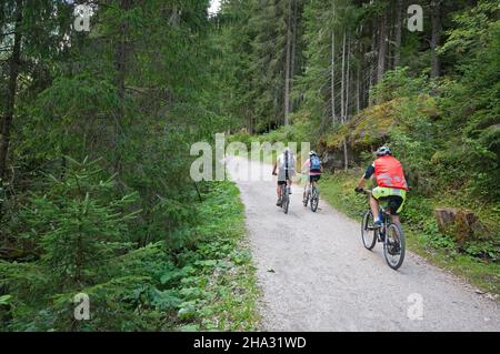 Motards de montagne sur route de gravier dans la forêt, vallée de Fassa, Trento, Trentin-Haut-Adige, Italie Banque D'Images