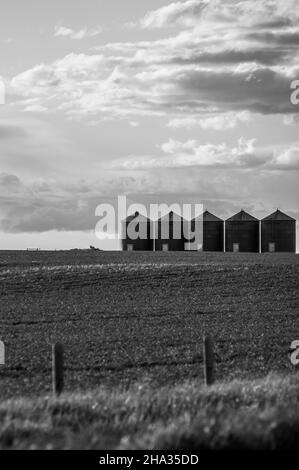 AIRDRIE, CANADA - 17 novembre 2021 : une vue en échelle de gris des paysages ruraux d'Airdrie, Canada Banque D'Images