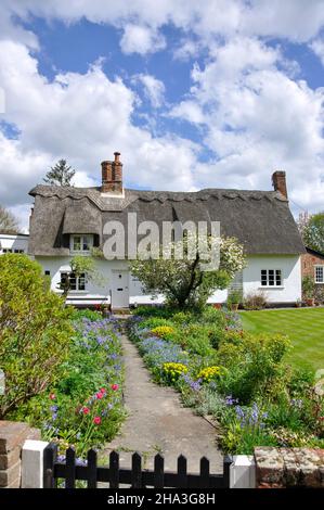 Chaumière, Dalham, Suffolk, Angleterre, Royaume-Uni Banque D'Images