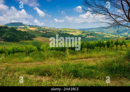 Paysage rural près de Monterubbiano et Ripatransone, entre les provinces de Fermo et Ascoli Piceno, Marche, Italie, au printemps Banque D'Images