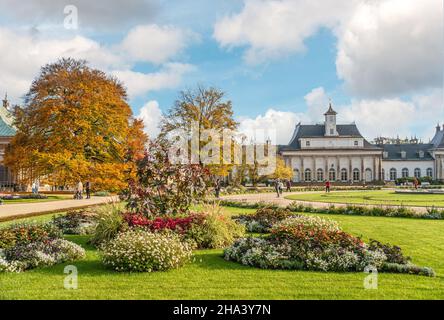 Le Nouveau Palais dans le Parc du Palais de Pillnitz à Dresde en automne, Saxe, Allemagne Banque D'Images