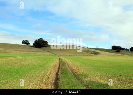 Vue sur North Downs (Kent Downs AONB) depuis Cobham Farm et Hart Hill Farm, Charing, Ashford, Kent, Angleterre,Royaume-Uni Banque D'Images