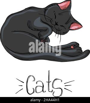 Ensemble peint de chats noirs dans différentes poses. Illustration de Vecteur