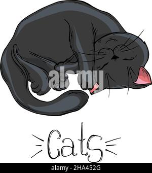 Ensemble peint de chats noirs dans différentes poses. Illustration de Vecteur