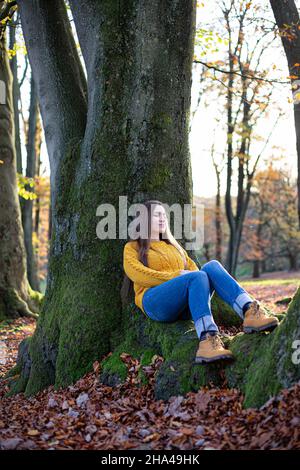 Jeune femme blanche européenne en chandail jaune assise près du tronc d'arbre dans la forêt d'automne ensoleillée Banque D'Images